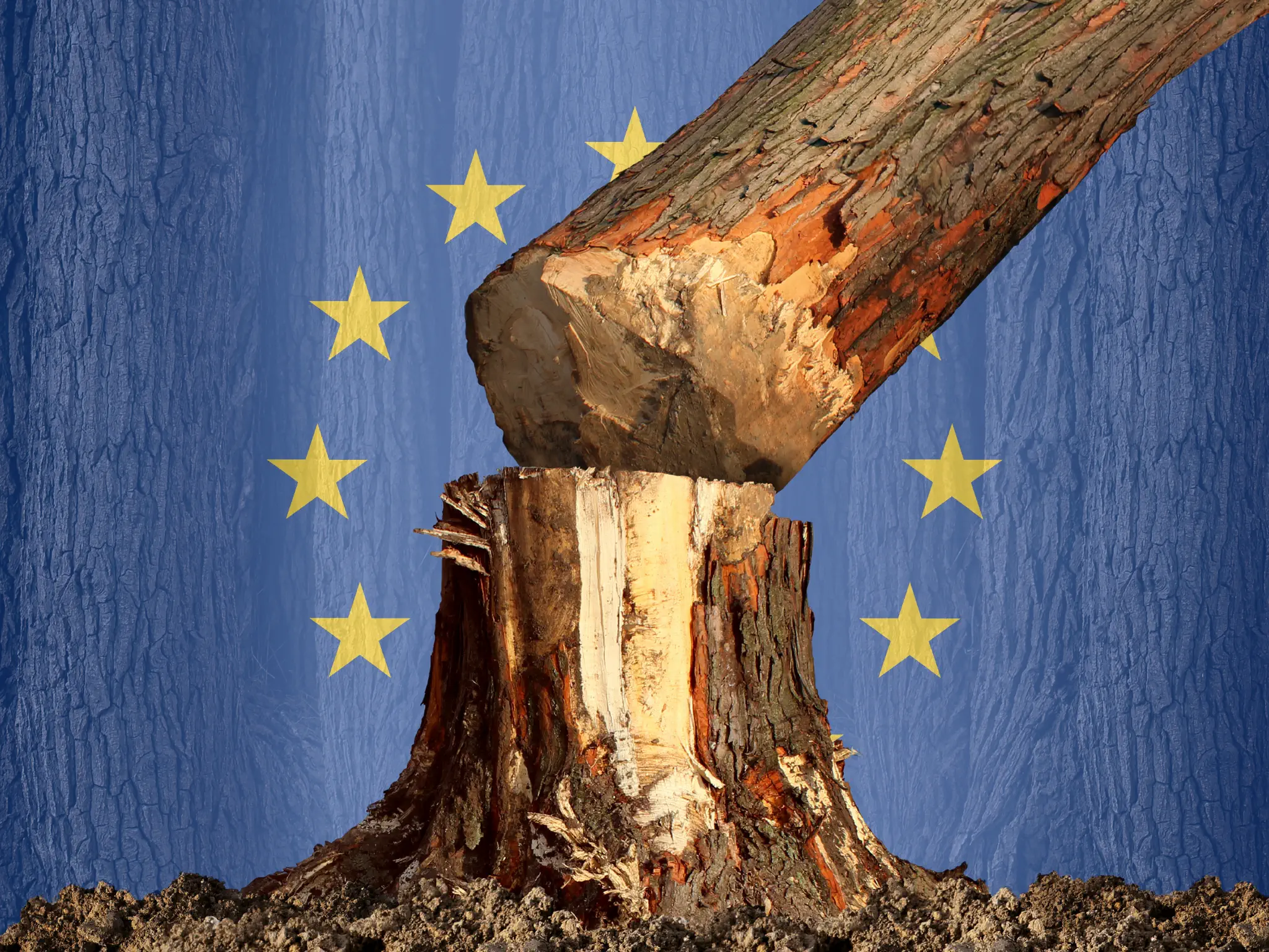 Lumber and EU flag